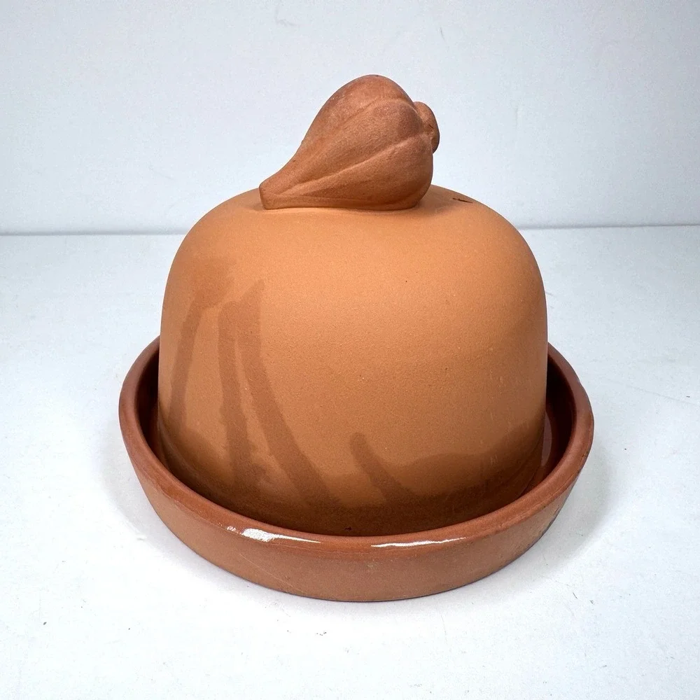 Progressive Terra Cotta Garlic‎ Roaster w Lid Box Instructions Vintage